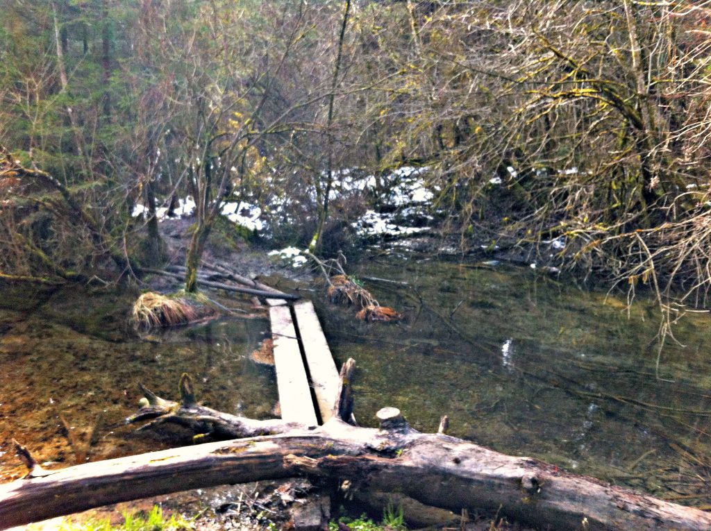 Isartrails auf dem Weg nach Schäftlarn