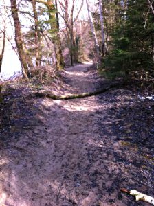 Sandpfad auf den Isartrails