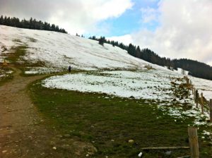 Verschneiter Weg oberhalb der Gindlalm