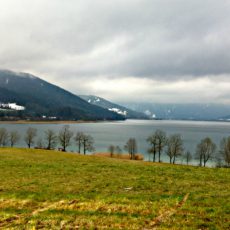 Lauftour: Tegernseer Panorama-Wanderweg