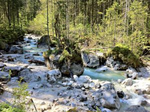 Fluß durch den Zauberwald