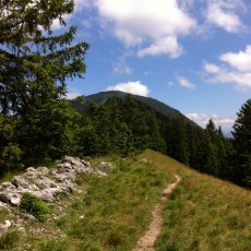 Lauftour: Heimgarten Vertical