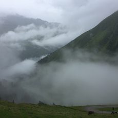 Pitztal Trail, 4. Tag: Rifflsee-Umrundung