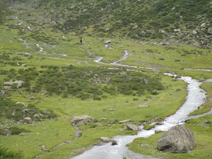 Grasende Wildpferde und Bergbäche