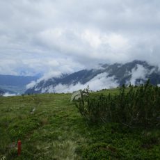 Pitztal Trail, 1. Tag: Wiese – Piösmes