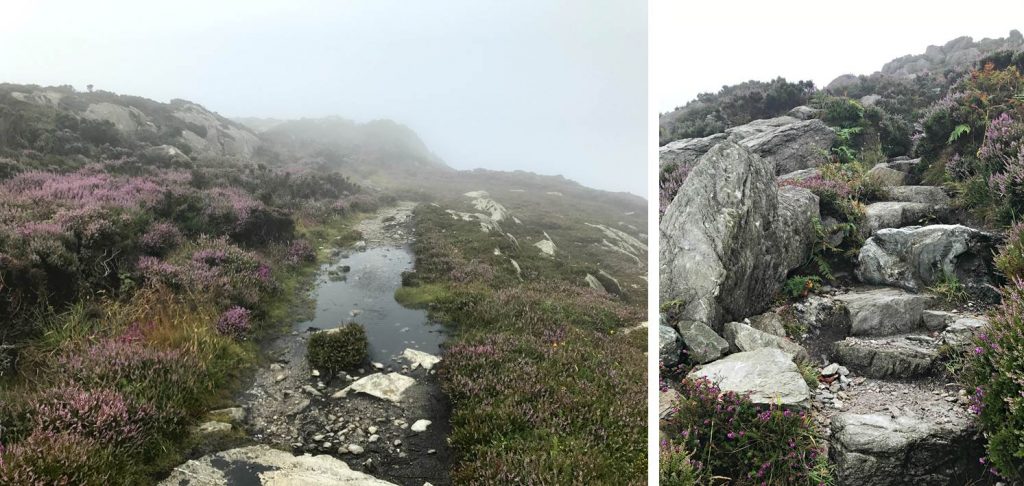 Anglesey Coastal Path Holyhead Mountain