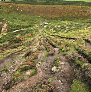 Penzance - Land's End: Coastal Downhill