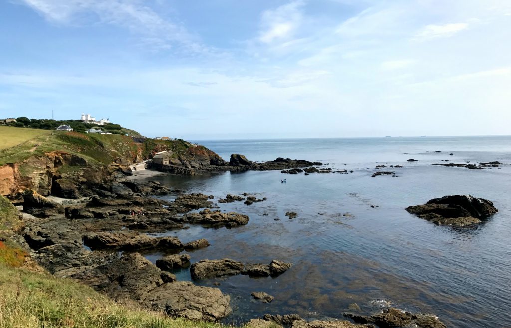 Lizard Point