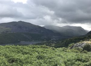 Snowdonia-Farn-Pfad