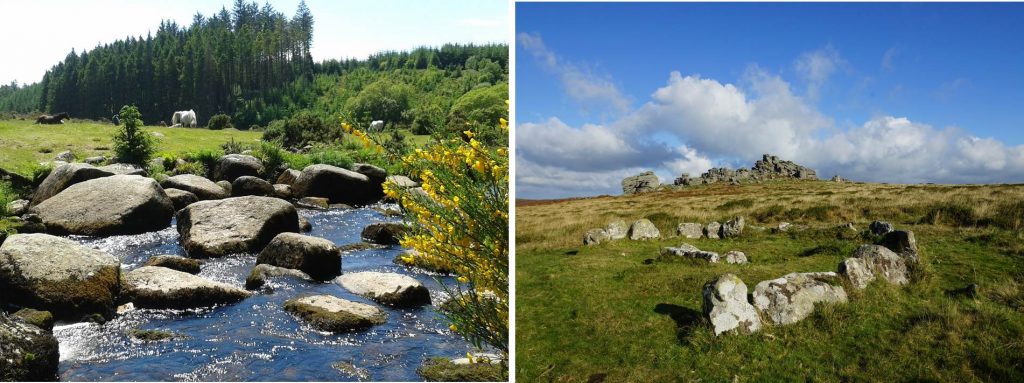 Something Wild Trail Running Festival Dartmoor