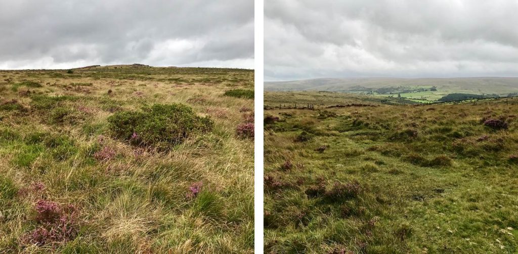 Dartmoor-Landschaft