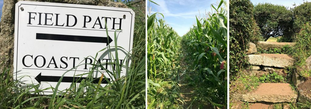 Pendeen-St.Ives: Field Path