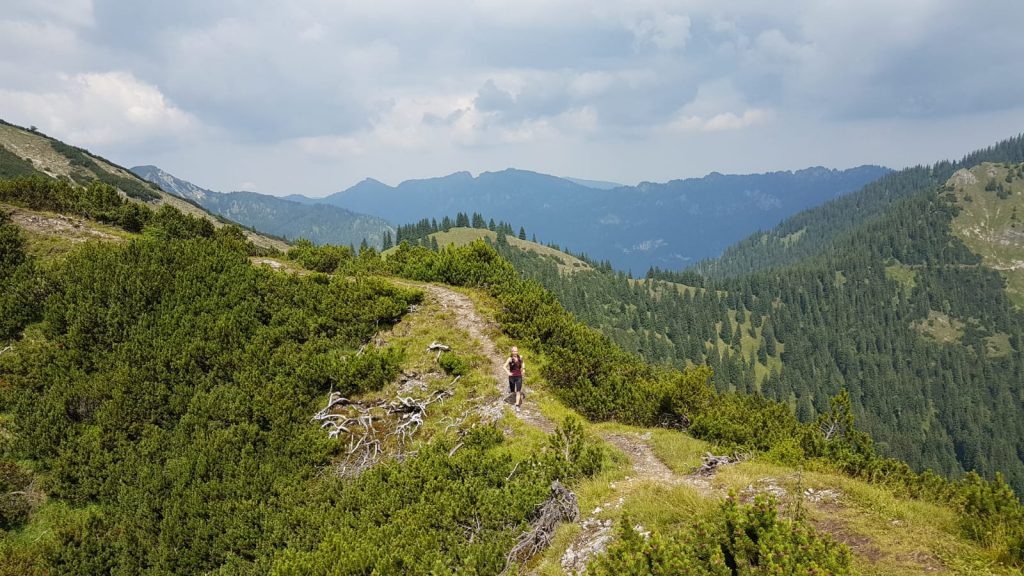 Trailrunning am Brünstelkreuz