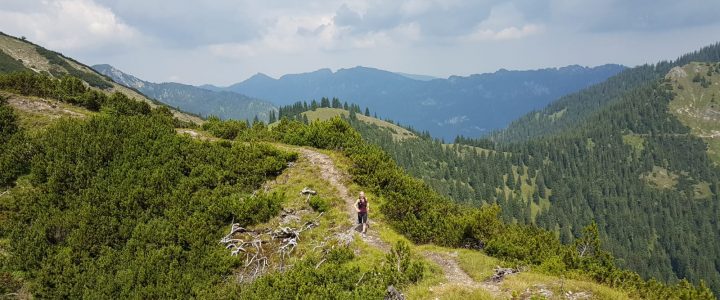 Trailrunning am Brünstelkreuz