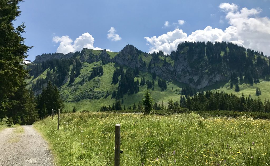 Allgäu Panorama beim Marathon