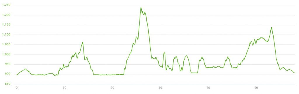 Höhenprofil Kini Trail 2018