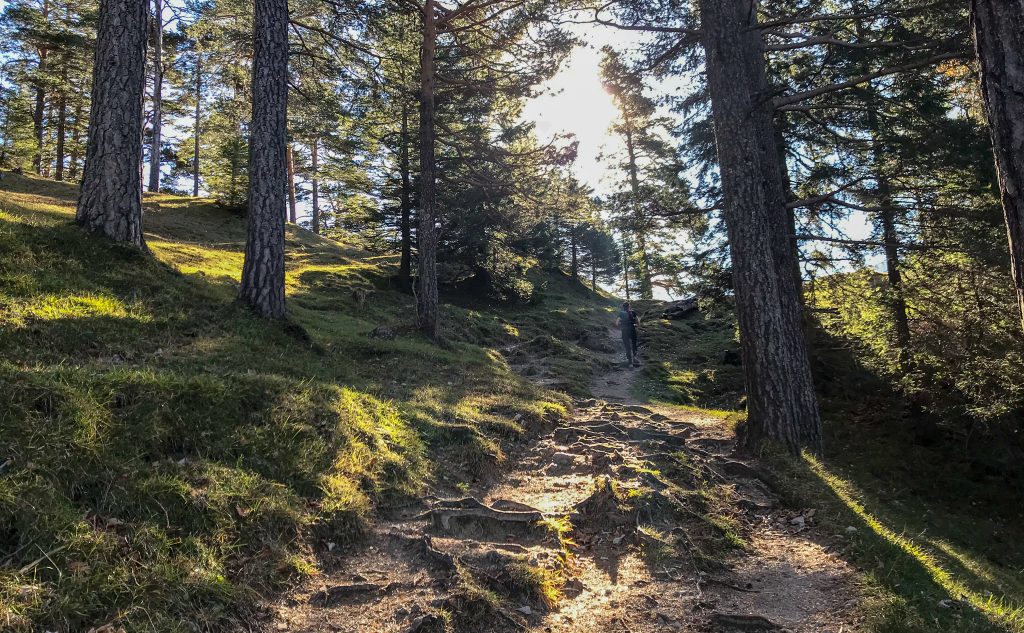 Trail auf dem Salober