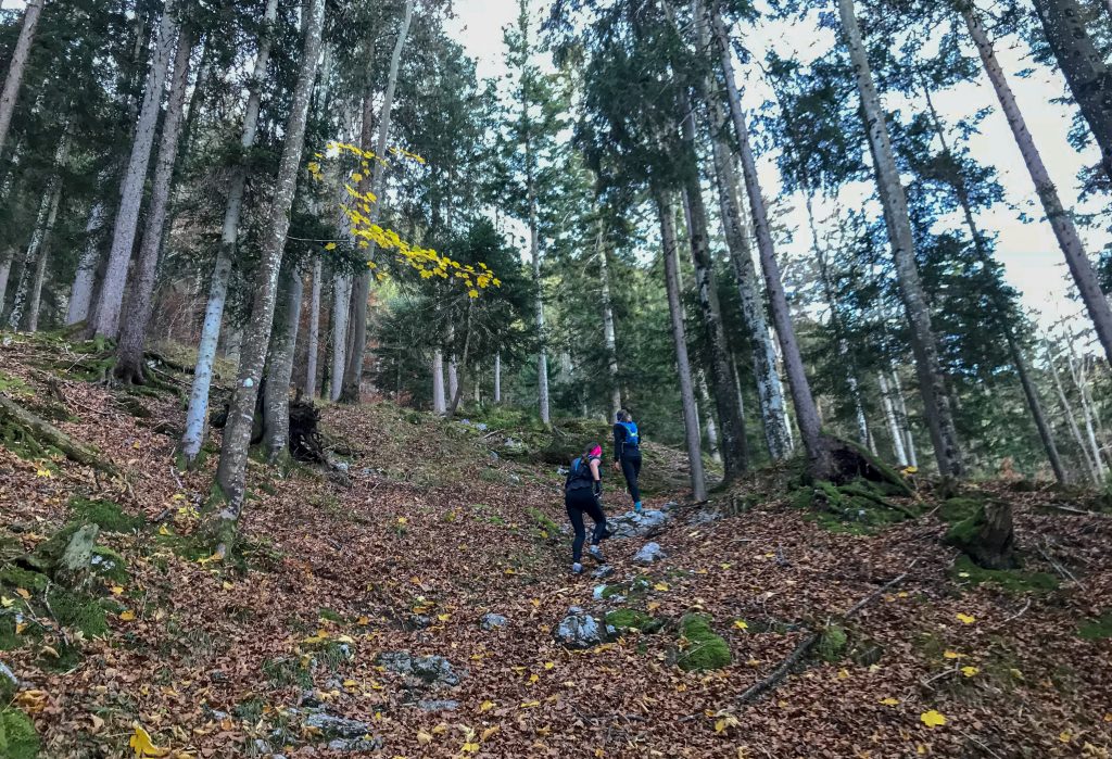 Uphill zum Salober beim Kini Trail