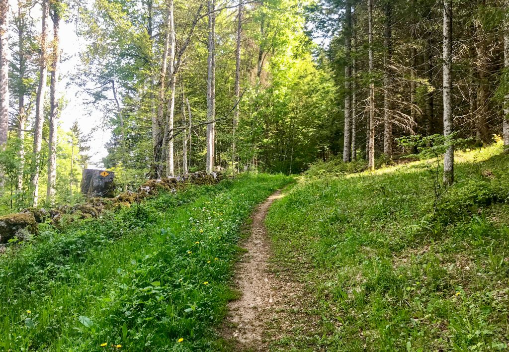 Trail Vallée de Joux