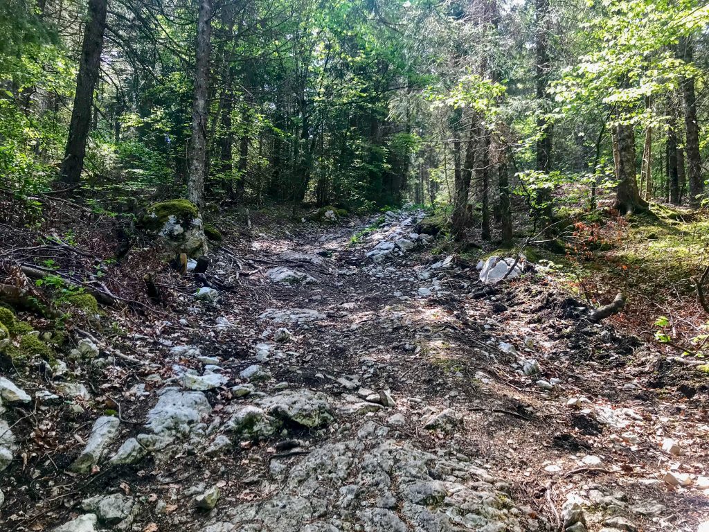 Steiniger Trail auf dem Weg zum Mont Tendre