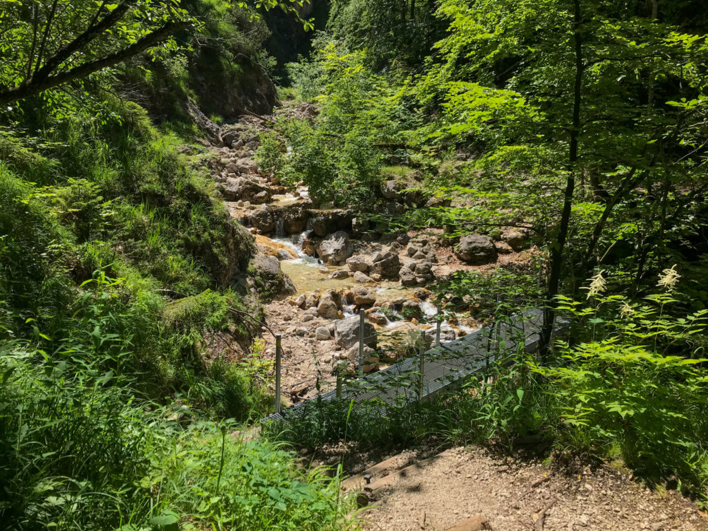 Brücke auf dem Alpgartensteig