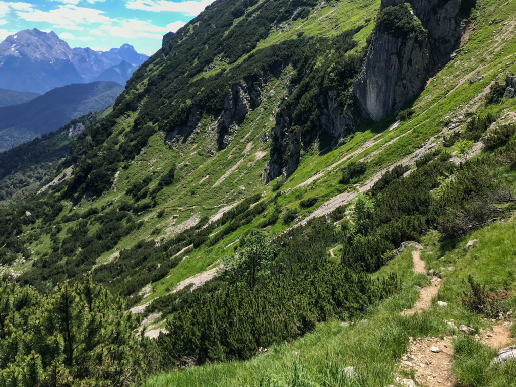 Trail vom Dreisesselberg Richtung Steinerne Agnes