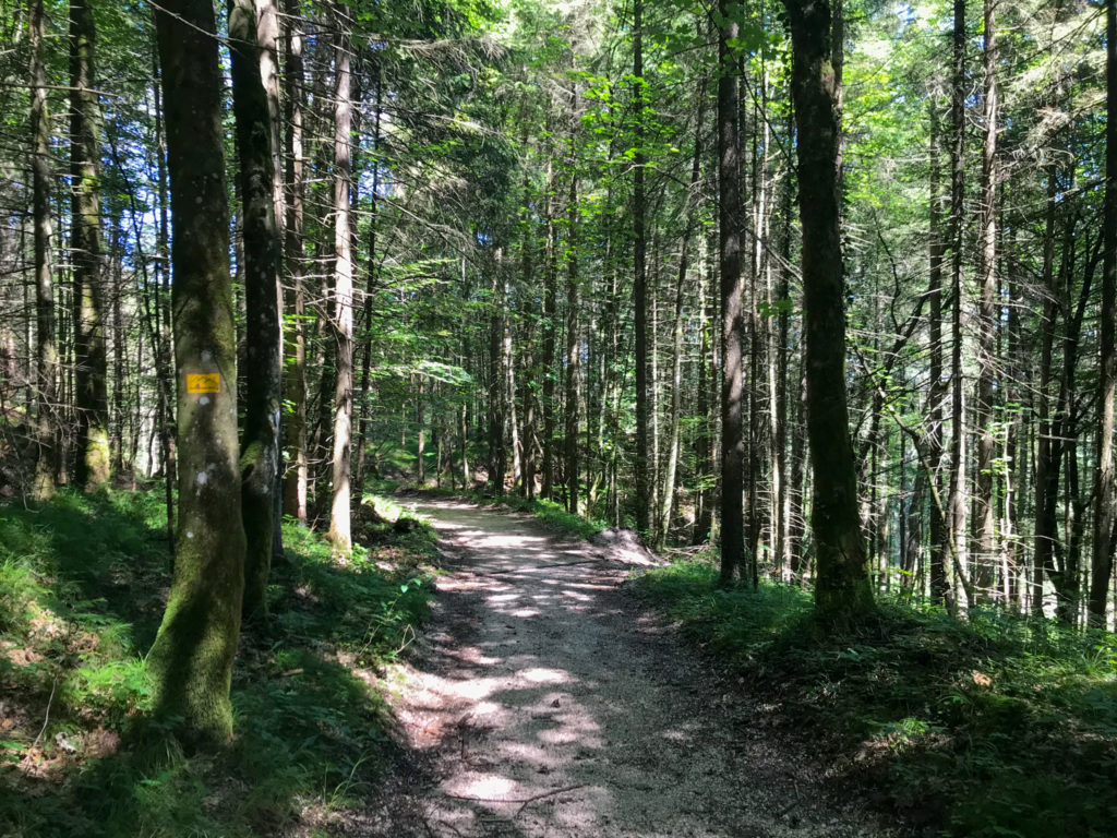 Trailrunning auf dem Salzalpensteig