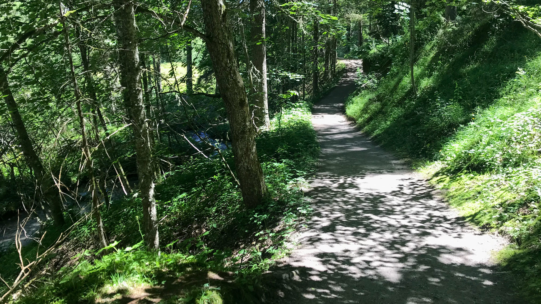 Ramsau Marathon: Schatten auf dem Philosophenweg