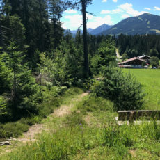 Ramsau Marathon: Landschaftslauf am Dachsteingebirge