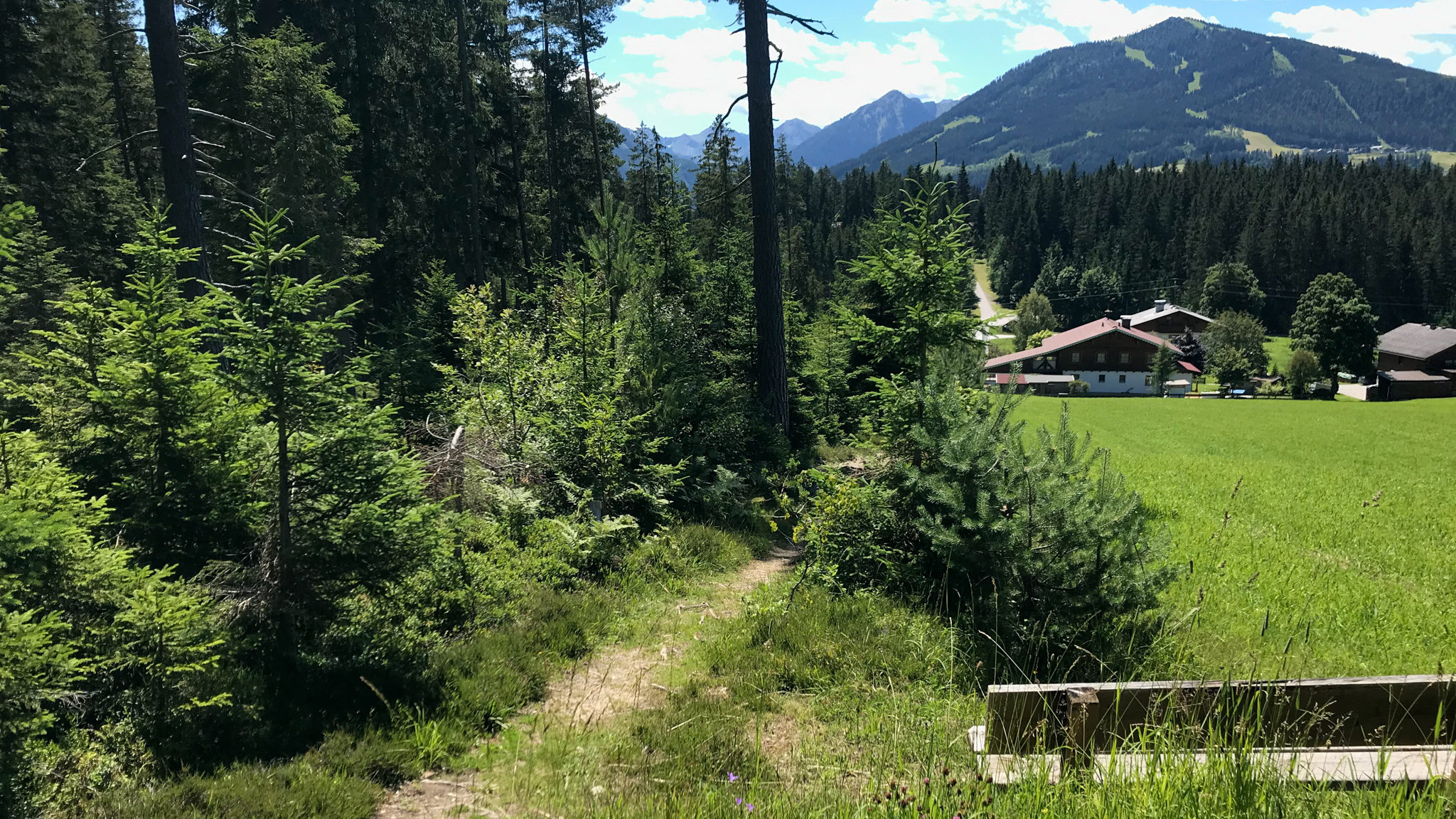 Trailrunning auf der Strecke des Ramsau Marathons