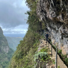 Remote Work auf Madeira