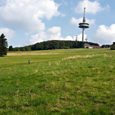 Wettkampfbericht: Vogelsberger Vulkan-Trail